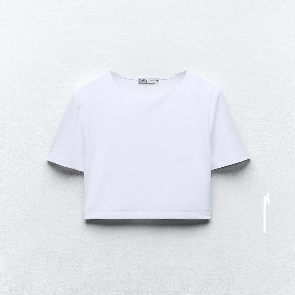 Zara crop top
